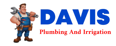 Trusted plumber in SACUL